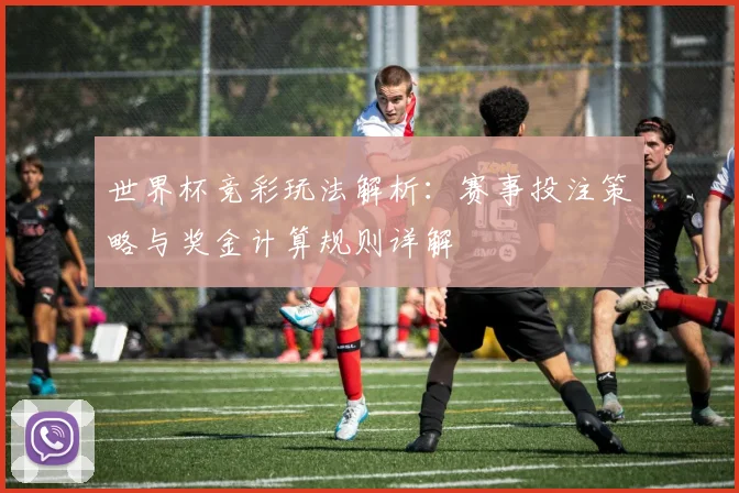 世界杯竞彩玩法解析:赛事投注策略与奖金计算规则详解