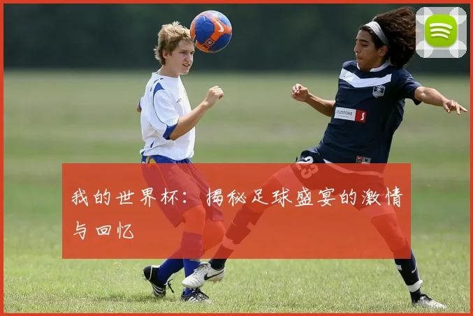 我的世界杯：揭秘足球盛宴的激情与回忆