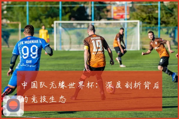 中国队无缘世界杯：深度剖析背后的竞技生态