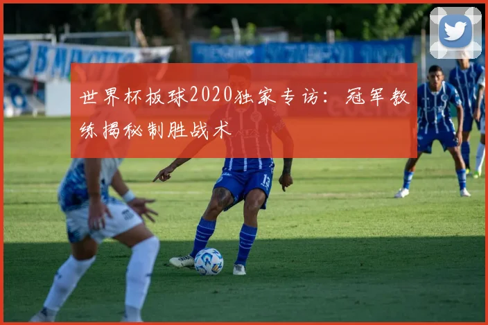 世界杯板球2020独家专访：冠军教练揭秘制胜战术