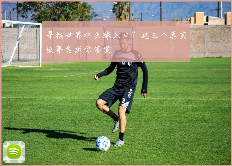 寻找世界杯买球入口?这三个真实故事告诉你答案